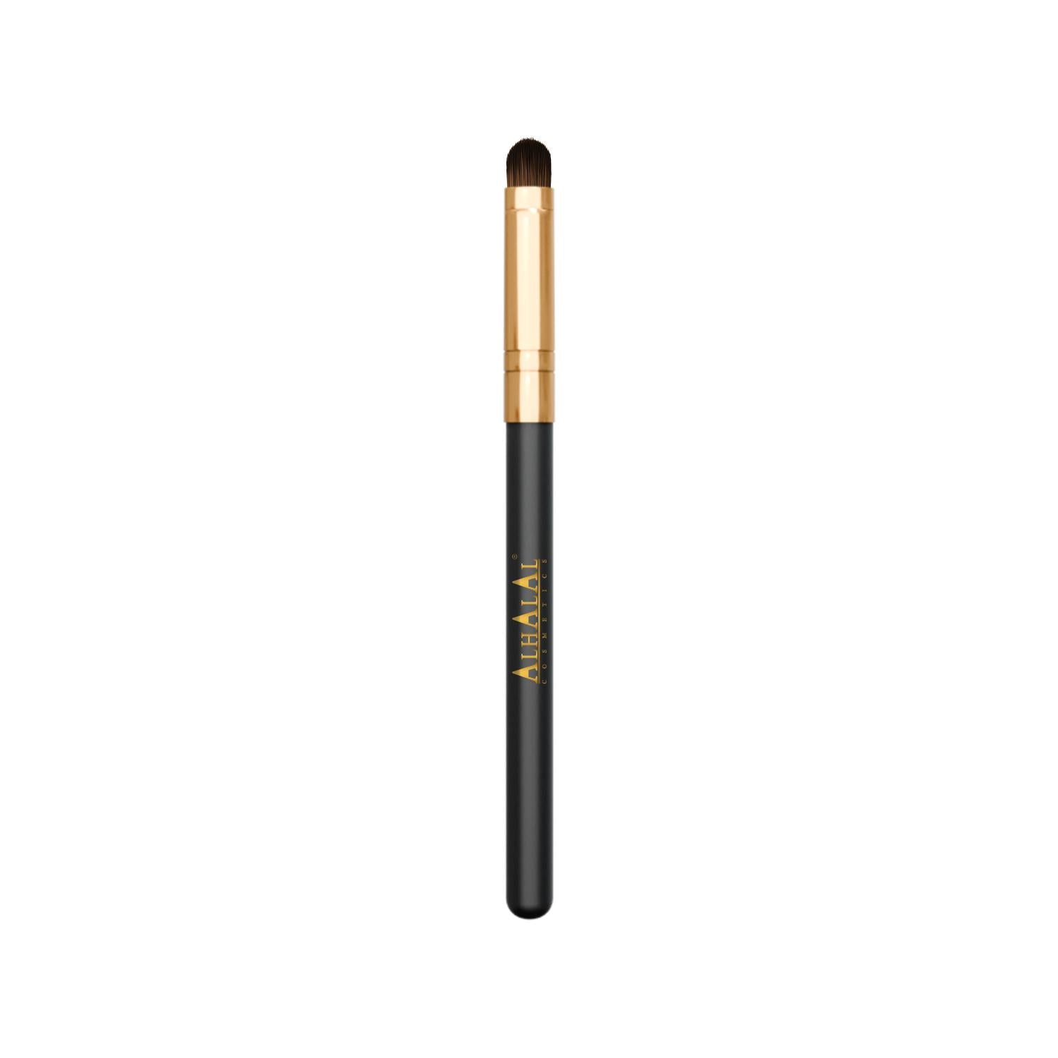AL-306 Aizal Brush set